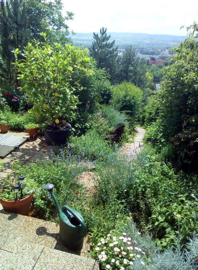 Anna Apartment Budaörs Εξωτερικό φωτογραφία