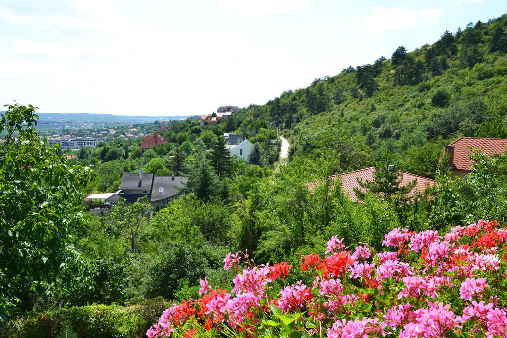 Anna Apartment Budaörs Εξωτερικό φωτογραφία